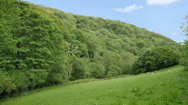  Image of Property for sale in Looe PL13 at Looe, PL13 1PW