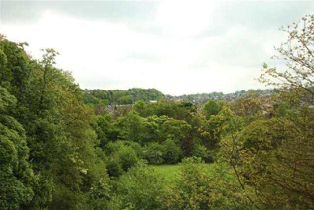  Image of 4 bedroom Property to rent in Riverdale Road Sheffield S10 at Sheffield, S10 3FA