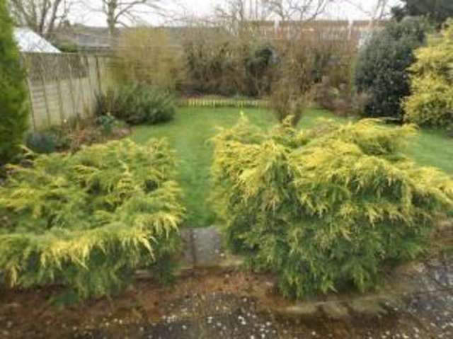  Image of 2 bedroom Bungalow for sale in Elm Road Wickham Market Woodbridge IP13 at Wickham Market Woodbridge Wickham Market, IP13 0RR