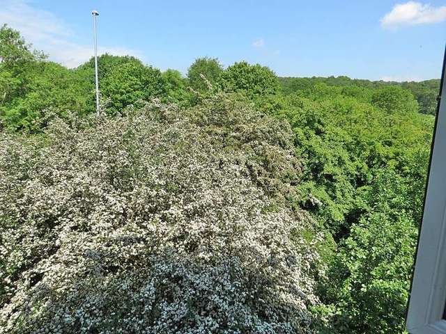  Image of 1 bedroom Flat for sale in Cornmill View Horsforth Leeds LS18 at Horsforth Leeds Leeds, LS18 5NJ
