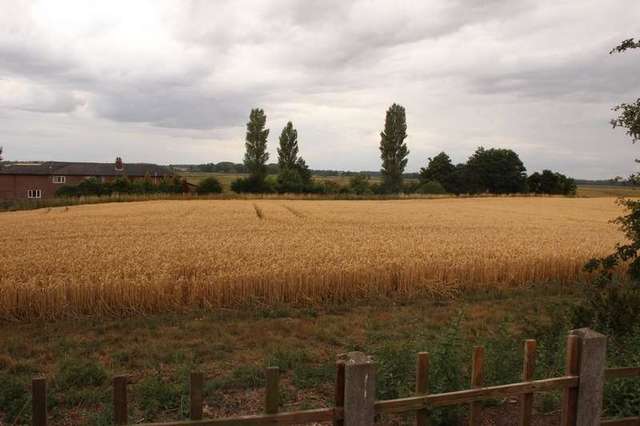  Image of 2 bedroom Terraced house for sale in Burnt House Cottages Cantley Norwich NR13 at Cantley Norwich Cantley, NR13 3RU