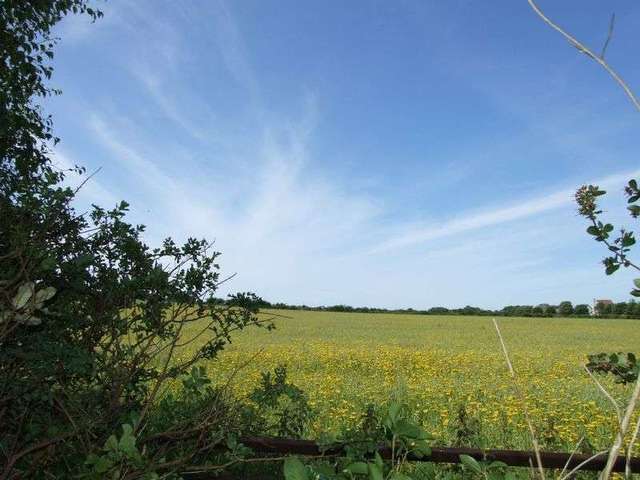  Image of 4 bedroom Detached house for sale in Oakdene Road Wool Wareham BH20 at Oakdene Road*** Wool Wareham, BH20 6EE