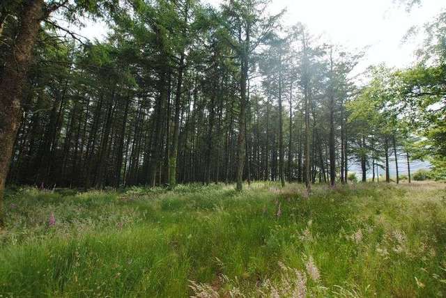  Image of 5 bedroom Detached house for sale in St. Anns Chapel Gunnislake PL18 at St. Anns Chapel, PL18 9HP