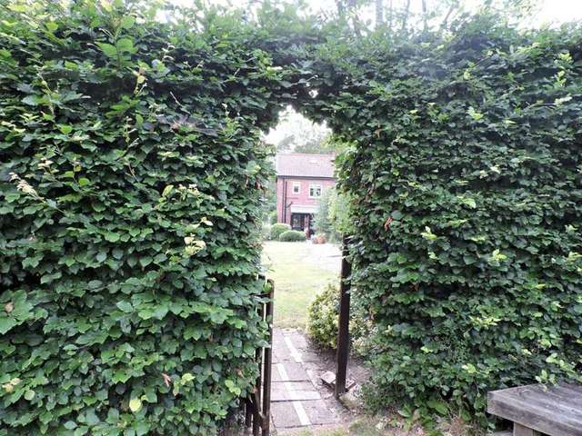  Image of 3 bedroom Cottage to rent in Newbourne Road Martlesham Woodbridge IP12 at Newbourne Road Martlesham Woodbridge, IP12 4PR