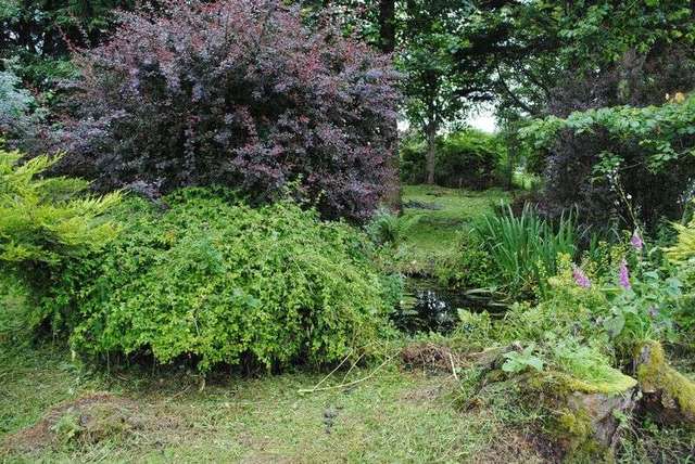  Image of 2 bedroom Detached house for sale in Sherifflats Road Thankerton Biggar ML12 at Sherifflats Road Thankerton Biggar, ML12 6PA