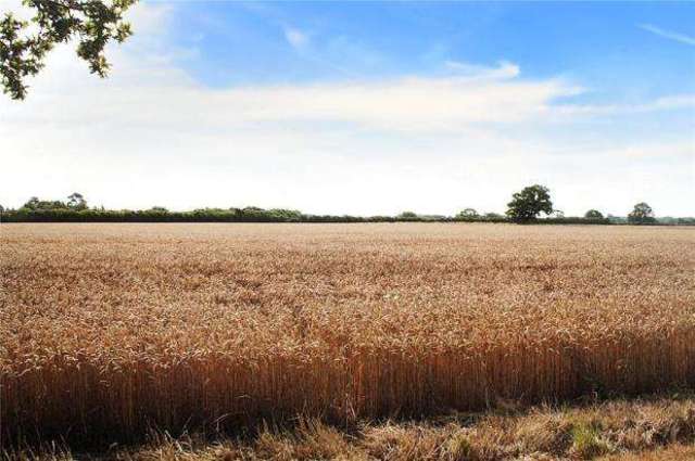  Image of 3 bedroom Apartment for sale in Yapton Lane Walberton Arundel BN18 at Yapton Lane Walberton Walberton, BN18 0AR