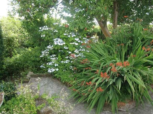  Image of 5 bedroom Detached house for sale in Chilsworthy Gunnislake PL18 at Chilsworthy, PL18 9PB