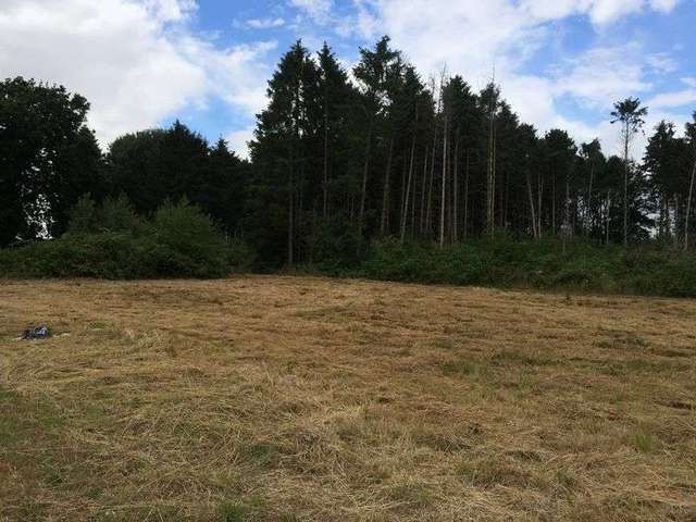  Image of Property for sale in Crownthorpe Road Wicklewood Wymondham NR18 at Crownthorpe Road Wicklewood Wymondham, NR18 9EW