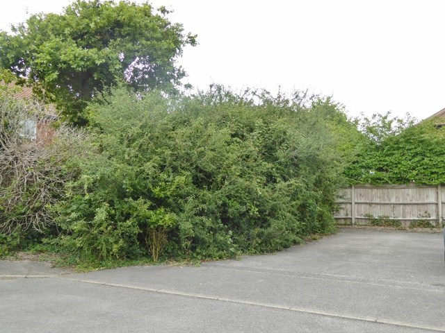  Image of 2 bedroom Terraced house for sale in Forties Close Fareham PO14 at Forties Close  Fareham, PO14 3RZ