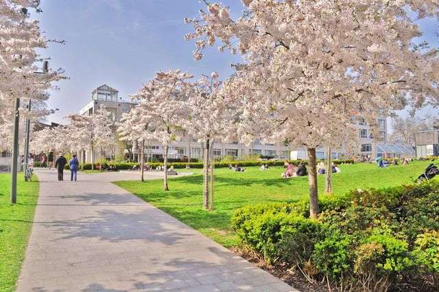  Image of 2 bedroom Flat to rent in Primrose Hill Road London NW3 at Primrose Hill Road  London, NW3 3EA