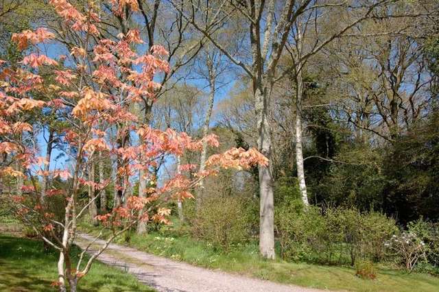  Image of 4 bedroom Cottage for sale in Lower Broad Oak Road West Hill Ottery St. Mary EX11 at West Hill Ottery St Mary Devon, EX11 1XH