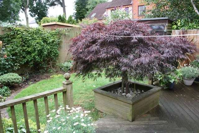  Image of 3 bedroom End of Terrace for sale in Slewton Crescent Whimple Exeter EX5 at Whimple Exeter Devon, EX5 2QA