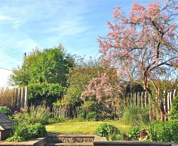  Image of 4 bedroom Detached house for sale in North Street Babcary Somerton TA11 at North Street Babcary Somerton, TA11 7EA