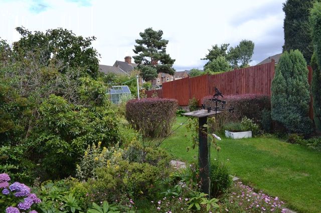  Image of 3 bedroom Detached house to rent in Drayton Street Swadlincote DE11 at Drayton Street  Swadlincote, DE11 8LB
