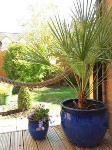  Image of 5 bedroom Semi-Detached house for sale in Lydbrook Lane Woburn Sands Milton Keynes MK17 at Woburn Sands Milton Keynes Woburn Sands, MK17 8GJ