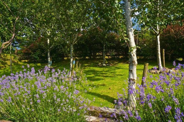  Image of 4 bedroom Detached house for sale in Meldon Meldon Okehampton EX20 at Meldon, EX20 4LU