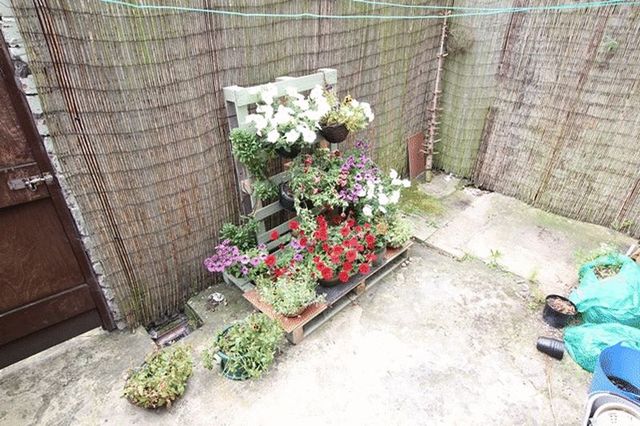  Image of 3 bedroom Terraced house for sale in Micklefield Road Wavertree Liverpool L15 at Micklefield Road  Liverpool, L15 5BT