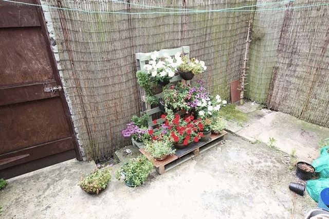  Image of 3 bedroom Terraced house for sale in Micklefield Road Wavertree Liverpool L15 at Micklefield Road  Liverpool, L15 5BT