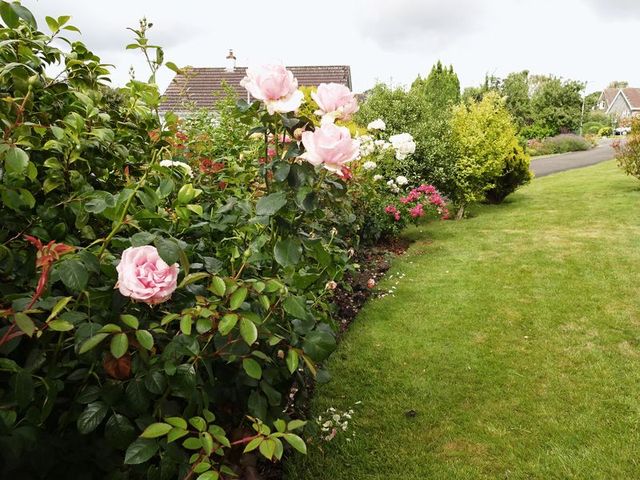  Image of 4 bedroom Detached house for sale in Woodland Close Staverton Totnes TQ9 at Woodland Close Staverton Totnes, TQ9 6PQ