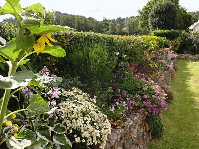  Image of 4 bedroom Detached house for sale in Woodland Close Staverton Totnes TQ9 at Woodland Close Staverton Totnes, TQ9 6PQ