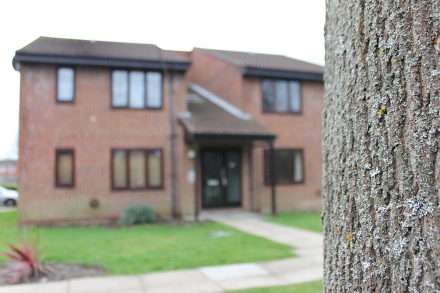  Image of Studio flat to rent in Trenear Close Horsham RH13 at Horsham, RH13 5UP