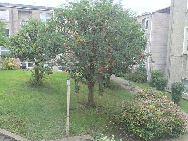  Image of Flat for sale in Montague Hill South Bristol BS2 at Montague Hill South  Bristol, BS2 8HT