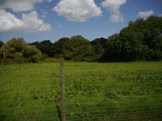  Image of 6 bedroom Detached house for sale in Bradworthy Holsworthy EX22 at Bradworthy Holsworthy, EX22 7RH