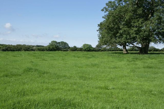 Image of 5 bedroom Detached house for sale in Holsworthy EX22 at Holsworthy, EX22 7JA