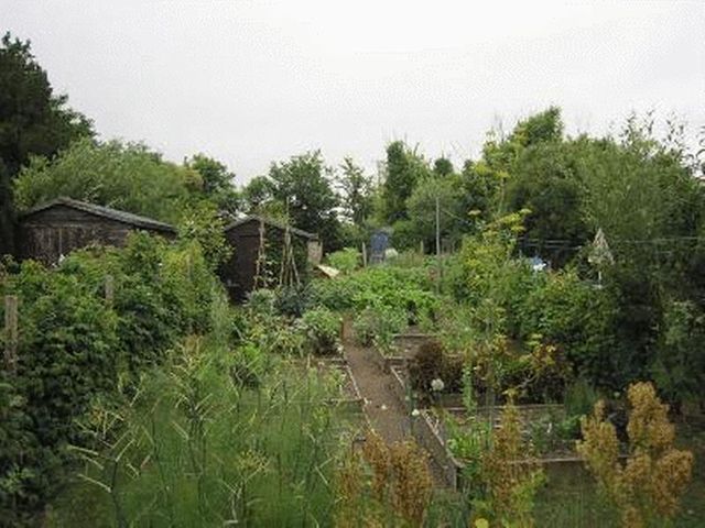  Image of 3 bedroom Terraced house for sale in Aylesbeare Aylesbeare Exeter EX5 at Church Close Aylesbeare Exeter, EX5 2BU