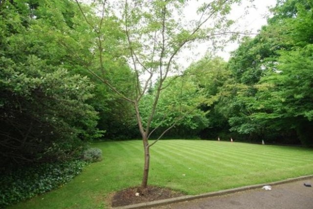 Image of Studio flat to rent in Hornsey Lane London N6 at Hornsey Lane  Hornsey, N6 5NW