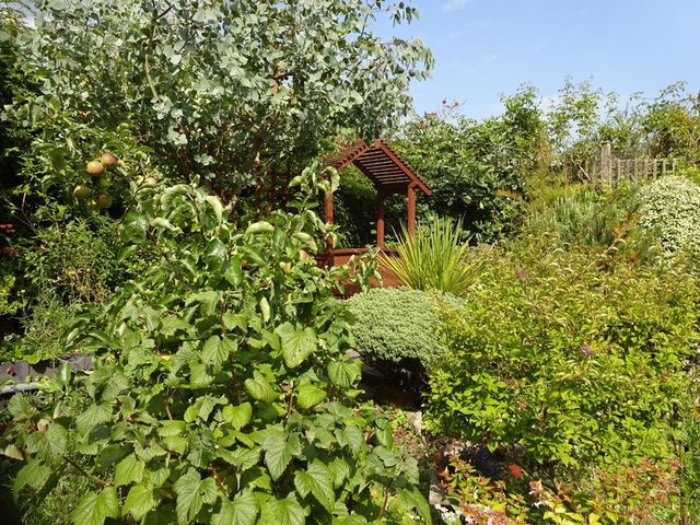  Image of 2 bedroom Cottage for sale in South Crescent The Grove Totnes TQ9 at South Crescent The Grove Totnes, TQ9 5EE