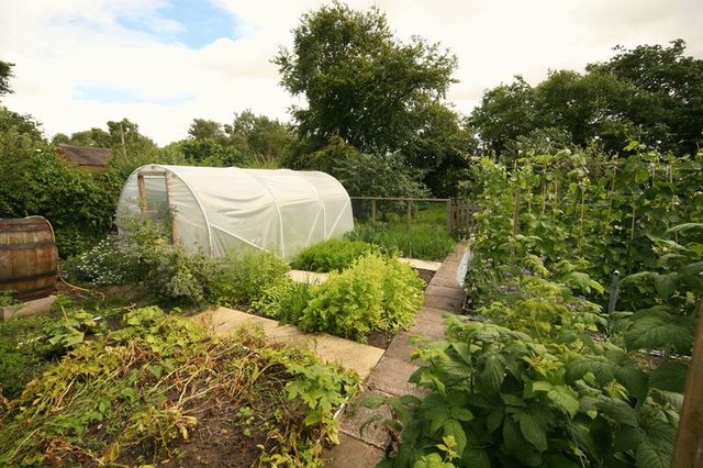 Image of 2 bedroom Semi-Detached house for sale in Shebdon Stafford ST20 at Shebdon, ST20 0PT