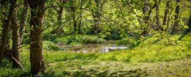  Image of 3 bedroom Semi-Detached house for sale in Cheriton Bishop Cheriton Bishop Exeter EX6 at Cheriton Bishop Exeter, EX6 6HD
