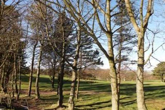  Image of 2 bedroom Flat to rent in Hallam Grange Close Sheffield S10 at Sheffield, S10 4BN