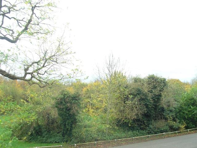  Image of 3 bedroom Semi-Detached house for sale in Lower Park Crescent Bishop