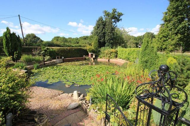  Image of 5 bedroom Equestrian Facility for sale in Lyne Hill Lane Penkridge Stafford ST19 at Lyne Hill Lane, Penkridge, Staffs.