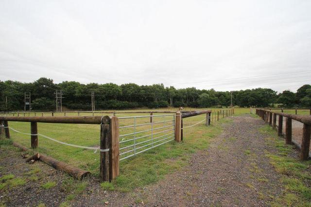  Image of 5 bedroom Equestrian Facility for sale in Lyne Hill Lane Penkridge Stafford ST19 at Lyne Hill Lane, Penkridge, Staffs.