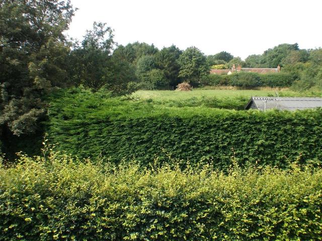  Image of 3 bedroom Detached house for sale in Hall Close Henham Bishop