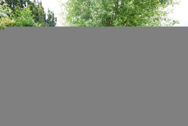 Image of 4 bedroom Detached Bungalow for sale in Brookside Crescent Cuffley Potters Bar EN6 at Brookside Crescent, Cuffley