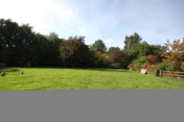  Image of 5 bedroom Detached house for sale in Nathans Lane Edney Common Chelmsford CM1 at Nathans Lane, Chelmsford, CM1