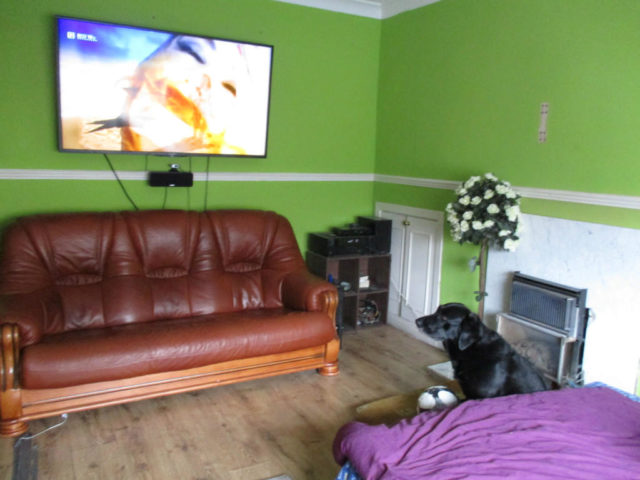  Image of 2 bedroom Flat for sale in Calder Avenue Caldercruix Airdrie ML6 at Calder Avenue, Airdrie, Lanarkshire, ML6