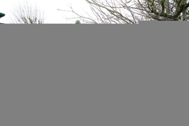  Image of 2 bedroom Semi-Detached house to rent in York Street Wolverhampton WV1 at York Street, Wolverhampton