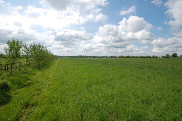  Image of Land for sale in Old Heath Road Althorne Chelmsford CM3 at PLOT 1, Old Heath Road, Althorne, Chelmsford, CM3