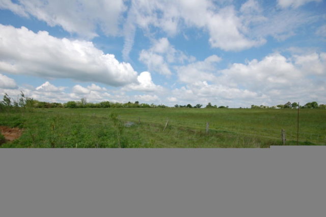  Image of Land for sale in Old Heath Road Althorne Chelmsford CM3 at PLOTS 1-5, Old Heath Road, Althorne, Chelmsford, CM3