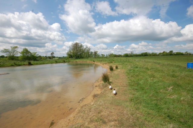  Image of Land for sale in Old Heath Road Althorne Chelmsford CM3 at PLOTS 1-5, Old Heath Road, Althorne, Chelmsford, CM3