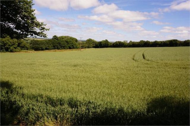 Image of 3 bedroom Detached house for sale in Gwelmeneth Park St. Cleer Liskeard PL14 at Gwelmeneth Park, St Cleer, Liskeard, Cornwall