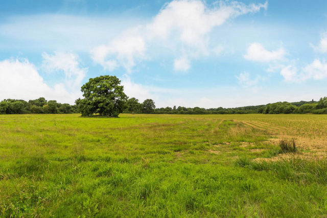  Image of 6 bedroom Detached house for sale in St. Johns Way Edenbridge TN8 at St. Johns Way, Edenbridge, TN8