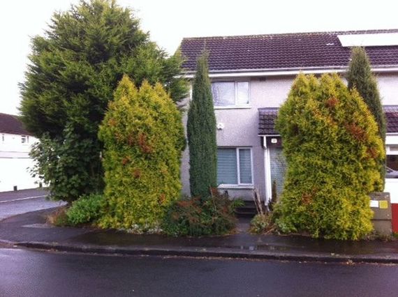 Property to rent