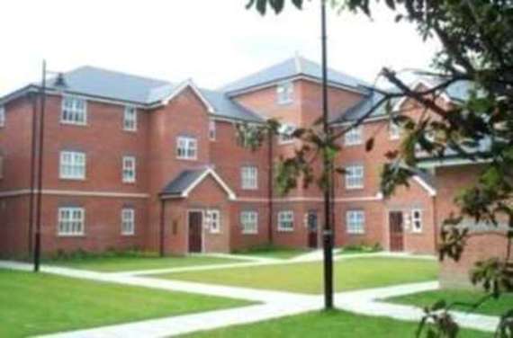 Flat to rent