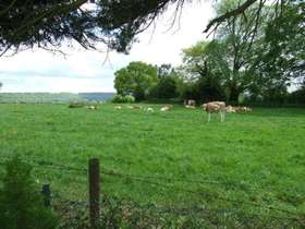 4 bedroom Detached f...